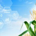 Smart Farm Tech: Verizon Powers Eco-Agriculture