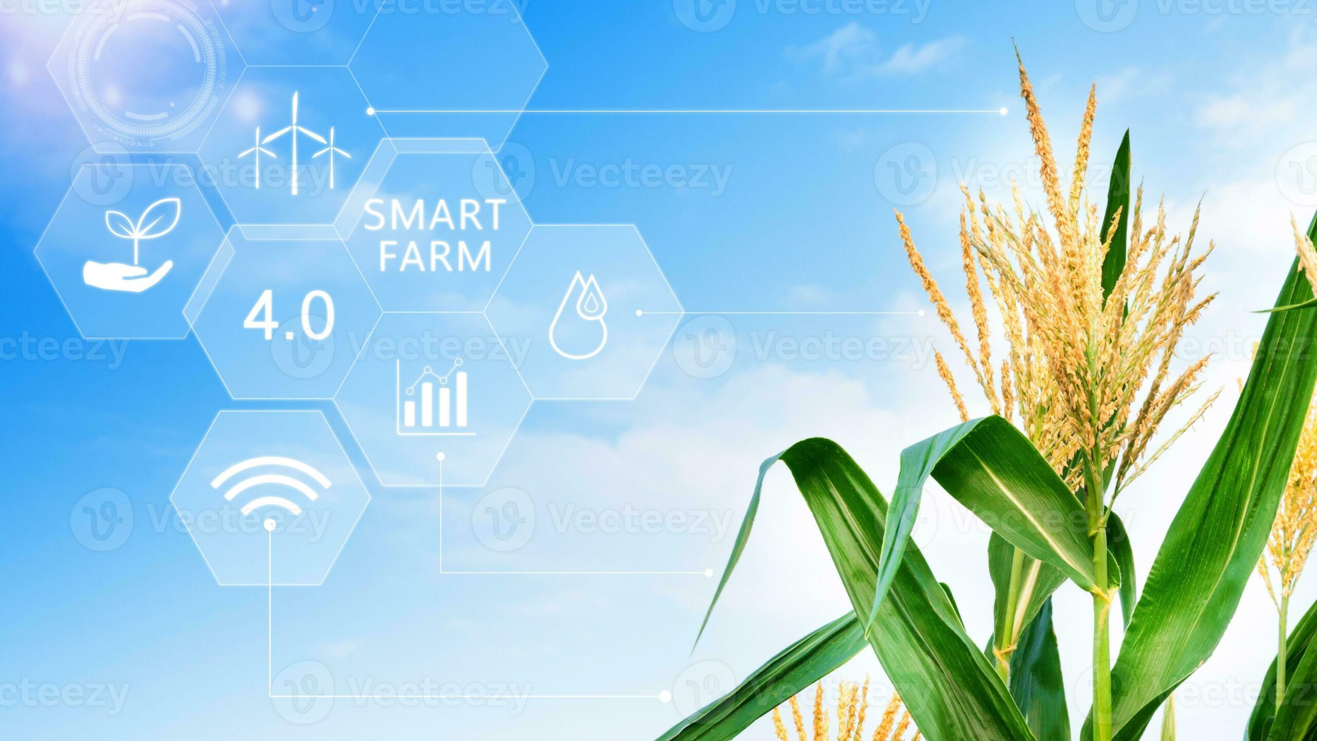 Smart Farm Tech: Verizon Powers Eco-Agriculture