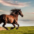 From Horse to Horsepower: The Evolution of Farming